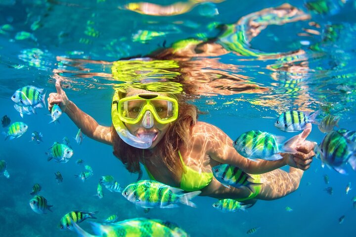 Discover Paradise: Phi Phi Islands Snorkelling Adventure from Krabi