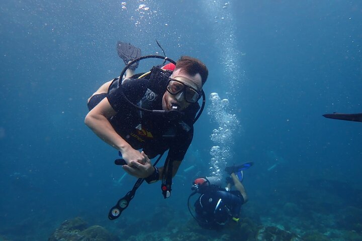 Image 1