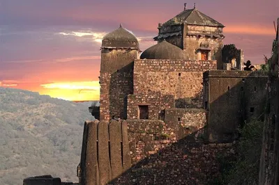 Embark on a Wild Adventure: 2-Day Ranthambore Tiger Safari from Jaipur