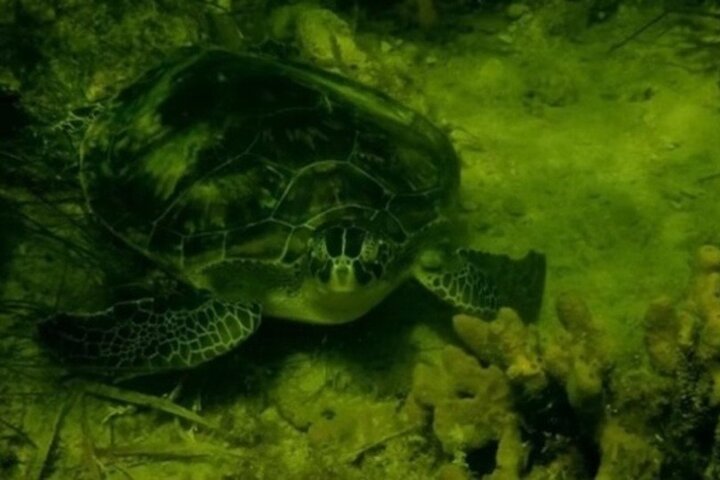 Experience Image img2