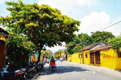 Stress-Free Hoi An to Da Nang Airport Transfer: Private & Comfortable Ride