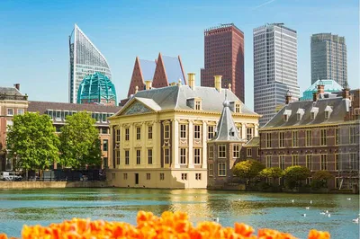 Explore The Hague: A Train Journey with Madurodam Magic!