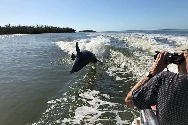 img0