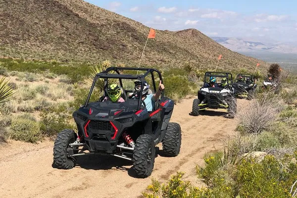 Las Vegas RZR Tour: Hidden Valley & Primm Adventure