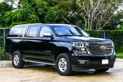 Orlando Private Driver: Fuel & Tolls Included!