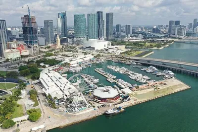 Miami Private Tour: Unveiling the Magic with a Local's Touch