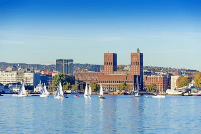 Oslo Panoramic Tour: Unveiling Norway's Charm in Comfort