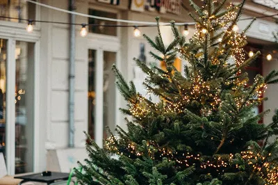 Sirmione Christmas Magic: A Festive Walking Tour Through History