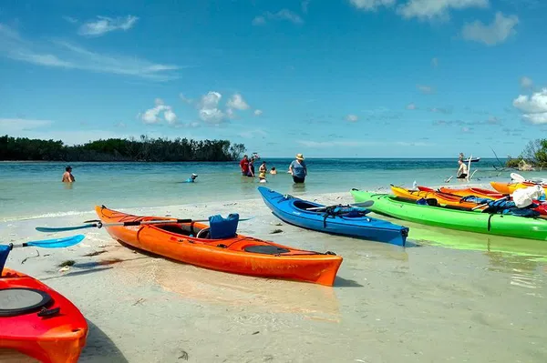 Shell Key Preserve Kayak Adventure: Explore St. Petersburg's Natural Beauty