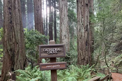 Unforgettable Muir Woods & Sausalito: A Luxurious Porsche Tour