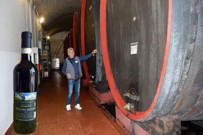 Private Wine & Food Tour: Taste Valtellina's Best!