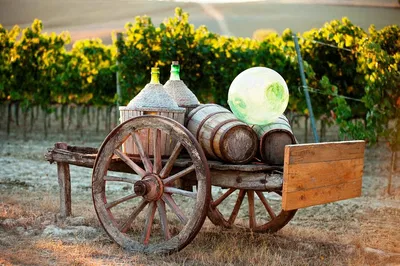 Tuscany Wine Tour: Chianti, Montalcino & Montepulciano