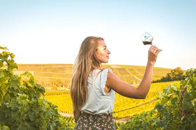 Sancerre Wine Tour: A Parisian Escape to French Vineyards
