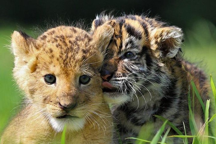 Experience Image img3