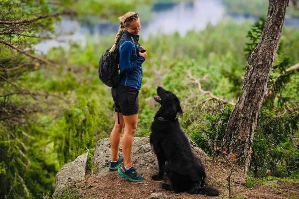 Oslo Forest Escape: Hike with a Local Nature Expert and Furry Friend