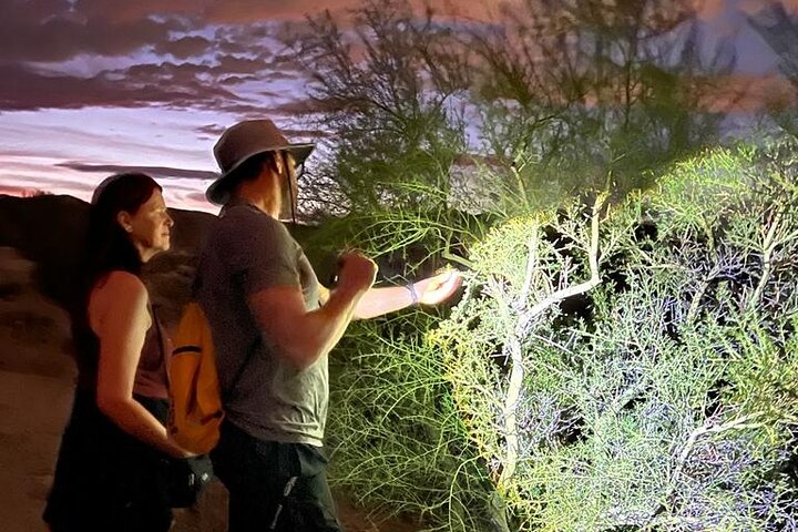 Experience Image img1