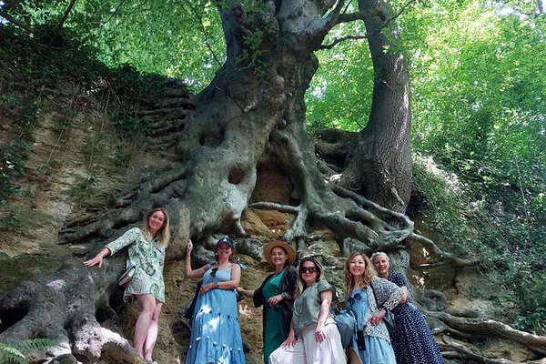 Enchanting Glastonbury: A Tree-Guided Nature Walk