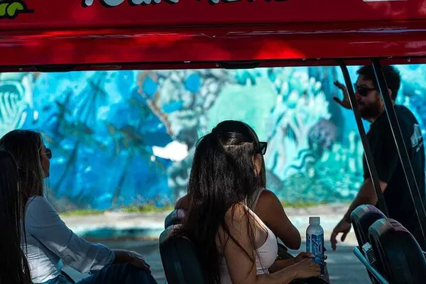 Wynwood Walls & Artist-Led Buggy Tour: Miami's Art Scene