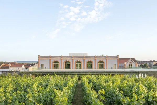 Uncork Champagne's Secrets: An Immersive Journey at Pressoria!