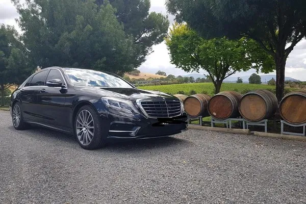 Melbourne CBD Luxury Tour: Explore Iconic Sites in Style