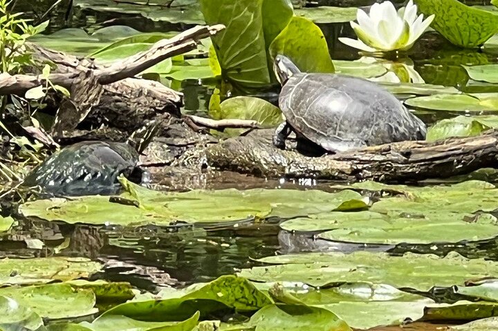 Experience Image img2