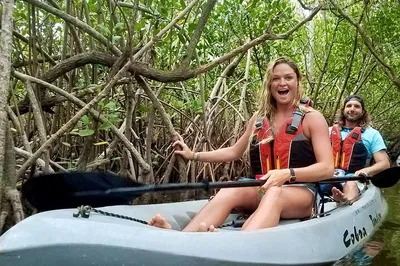 Cocoa Beach: Mangrove Tunnels, Dolphins, & Manatee Tour