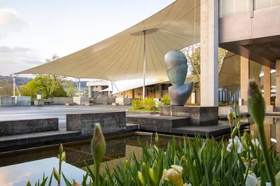 Uncover St. Gallen University's Hidden Art: A Student-Led Discovery