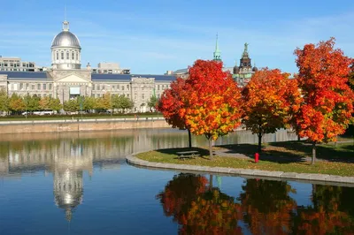 Discover Montreal: Exclusive Private Shore Excursion from Cruise Port!