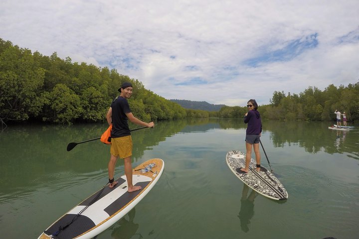 Phuket's Hidden Gems: A Mangrove SUP Adventure with a Local Guide
