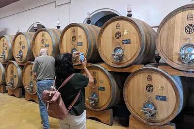 Valpolicella Wine Tour: Lunch & Tastings from Lake Garda