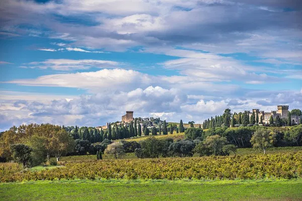 Rhône Valley Wine Immersion: A Châteauneuf-du-Pape Walking Tour