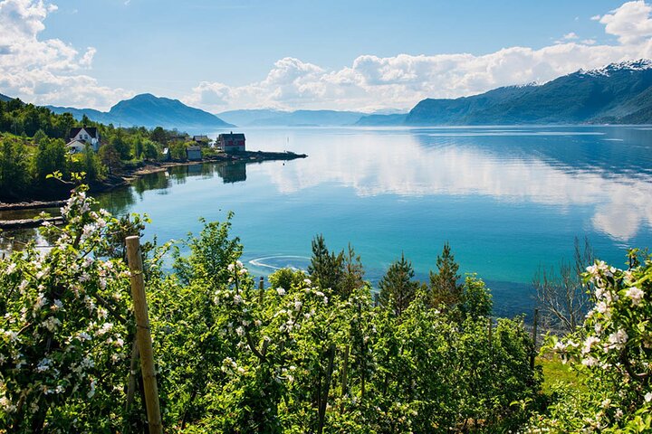 Experience Image img1