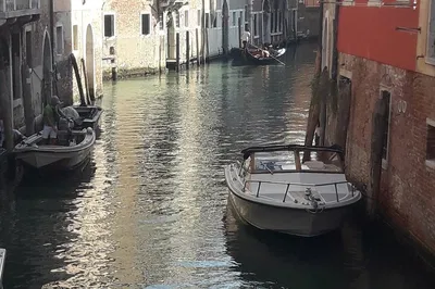 Venice Bacaro Tour: Uncover Local Gems & Culinary Delights