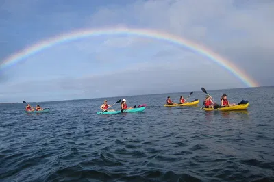 Maui's Ultimate Adventure: Kayak, Snorkel & Waterfall Hike!