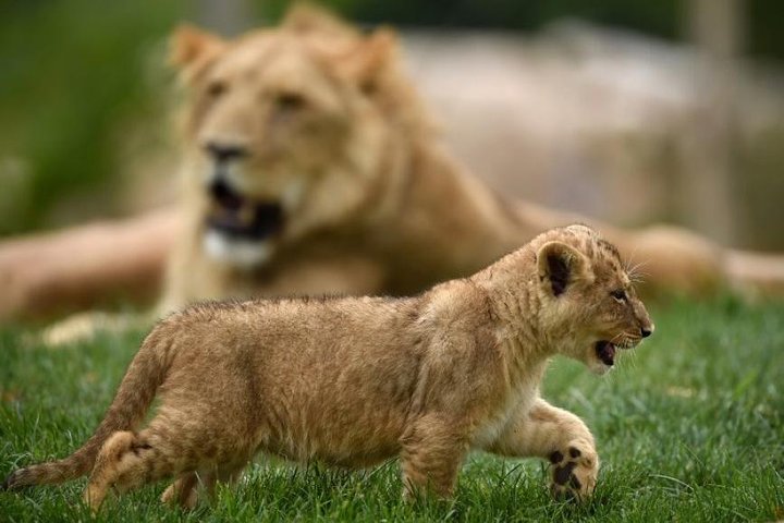 Experience Image img2