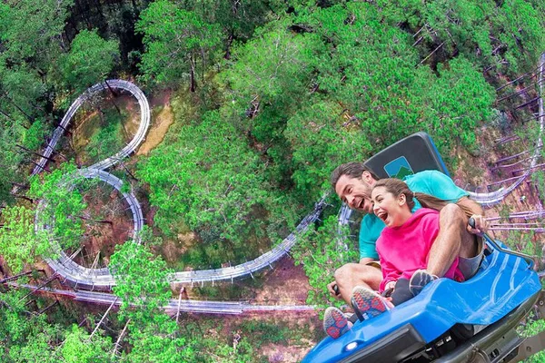 Datanla Coaster: Thrills & Views in Da Lat, Vietnam
