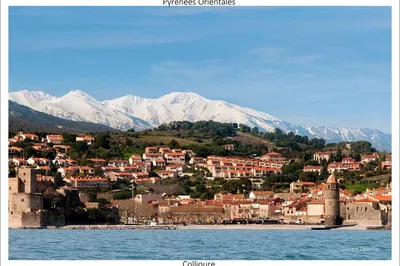 Nausicaa's Coastal Cruise: Discover Collioure & Vermillion Shores