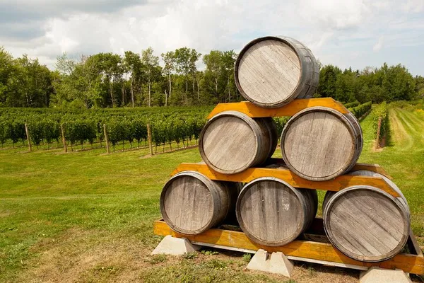 Uncork Nova Scotia: A Luxurious Private Wine Tour from Halifax