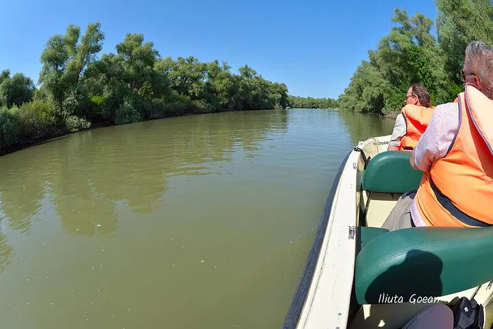 img0
