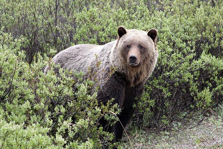 Experience Image img1