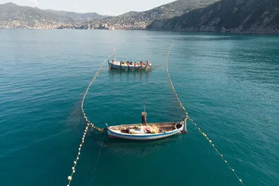 Tonnarella Trail: Discover Genoa's Hidden Coastal Treasures by Boat
