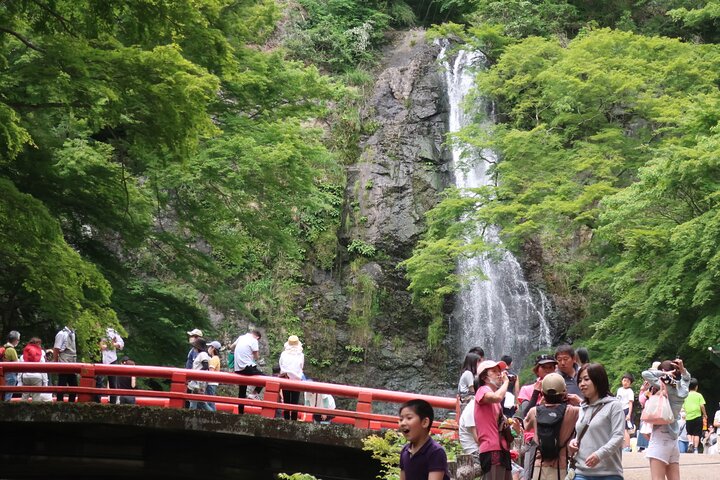 Discover Tranquility: Minoh Waterfall Nature Escape