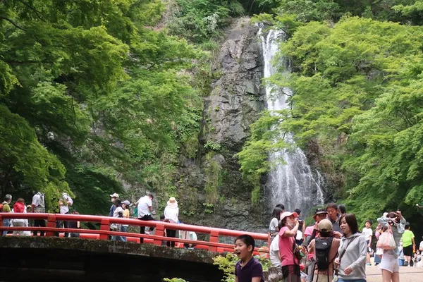 Discover Tranquility: Minoh Waterfall Nature Escape