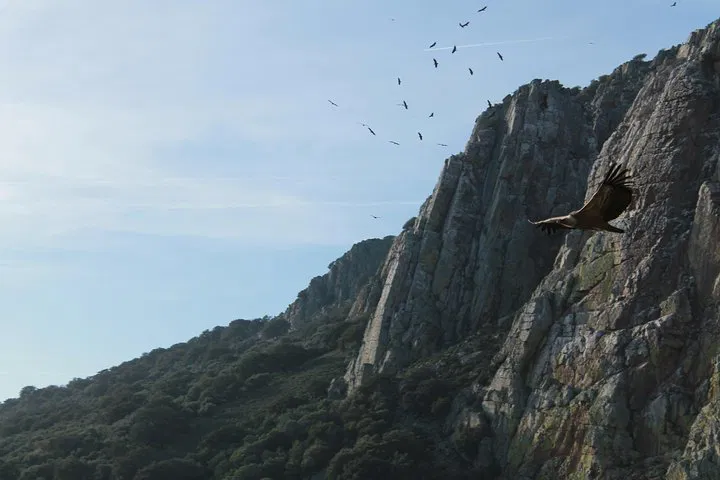 img0