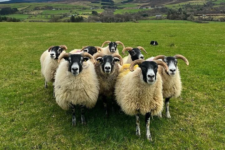 Experience Image img1