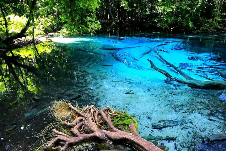 Uncover Krabi's Hidden Gems: Emerald Pool & Hot Spring Jungle Tour