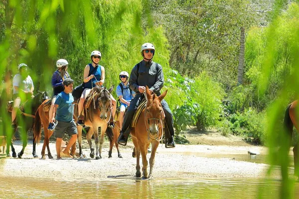 Uncover Hidden Shores: Pizota Jungle Beach BBQ & Sea Safari Adventure