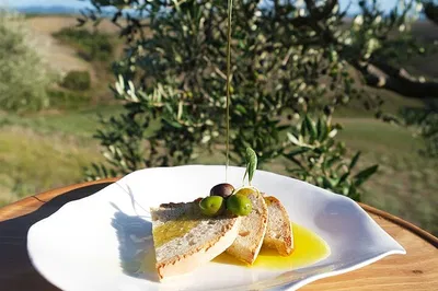 Tuscan Olive Oil Revelation: Taste, Learn, and Feast Amongst the Hills