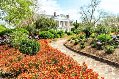 Boone Hall Plantation: Charleston's All-Access History Pass