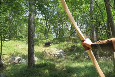 Rediscover Your Ancestral Archery Skills: Wild Experience Adventure